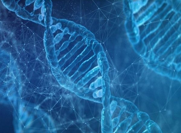 Genetic Differences Can Affect Ability to Utilize Energy of Various Nutrients: Report