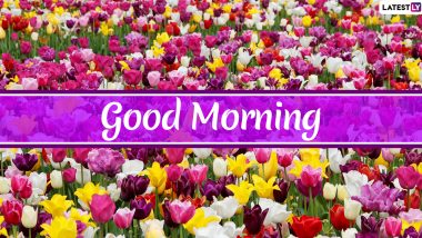 Good Morning Images With Flowers for Free Download Online: WhatsApp Messages and Inspirational Quotes To Kick Off the Day on a Positive Note!