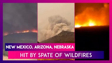 New Mexico, Arizona, Nebraska Hit By Spate Of Wildfires