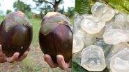 Ice Apple or Tadgola Fruit Health Benefits: Here’s How This Juicy Summer Fruit Acts as a Natural Coolant To Shun the Heat!