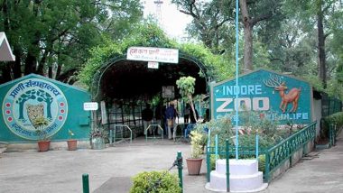 Indore: 6 Wolves Succumb to Rabies in Three Days at Kamla Nehru Zoo