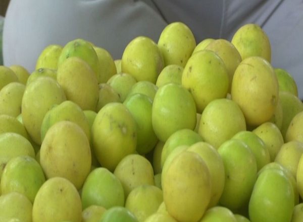 Lemon Prices Soar to All-Time High Across India, Rs 13 Per Piece in Lucknow