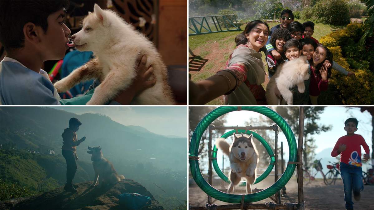 South News | Oh My Dog Teaser Unveils a Magical Tale About a Kid and His Pet | 🎥 LatestLY