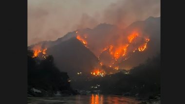 Rishikesh Forest Fires: Massive Wildfire Breaks Out in Forest Area of Uttarakhand