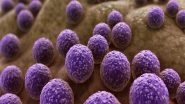 Science News | Research: Gut Microbiome Can Alter Cancer Therapy Response