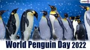 World Penguin Day 2022: 5 Funny Videos of Penguins That Prove They&rsquo;re The Cutest Chaotic Mess
