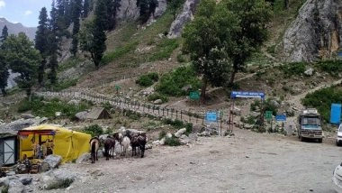 India News | Apart from Pilgrims, Ponies Will Also Be RFID Tagged for Better Safety During Amarnath Yatra