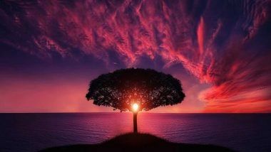 Science News | 'Tree of Life' Could Help Slow Climate Change: Study