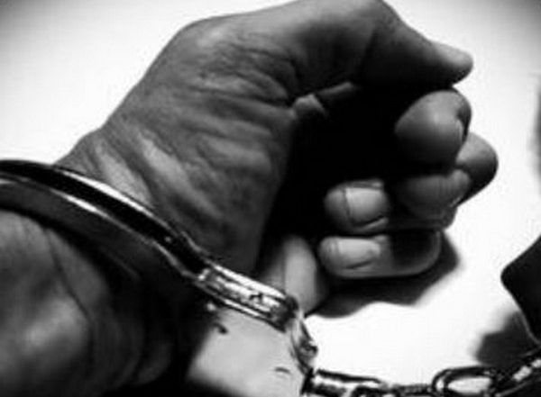 Odisha: Special Task Force Arrest Man For Smuggling Live Pangolin in Boudh