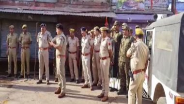 Rajasthan: 46 Arrested, Seven Detained for Questioning After Stone-Pelting on Religious Procession in Karauli