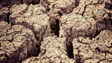 Science News | Human Greed Leads to Chronic Land Degradation Across World, Says Stark UN Report