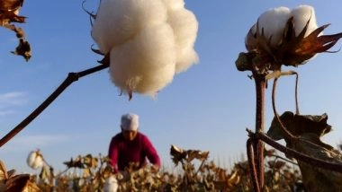 Business News | Government Exempts Customs Duty on Cotton Imports Till Sept 30