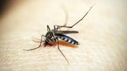 Science News | Study Finds Yellow Fever Mosquito Can Be Tackled by Using Nanoparticles