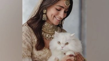 Entertainment News | Alia Bhatt Drops New Snaps from Recent Wedding with Ranbir Kapoor, Introduces Her 'cat of Honour'