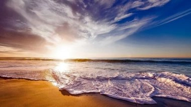 Science News | Ocean Water Samples Provide Treasure Trove of RNA Virus Data, Says Study