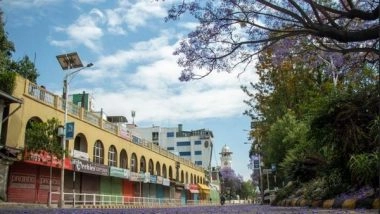 World News | Nepali Capital Turns Purple as Jacaranda Blooms