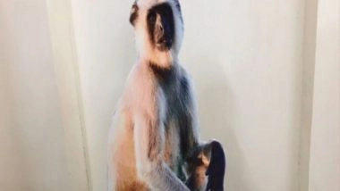 India News | Forest Dept Experiments with Langoor Cut-outs to Scare Away Monkeys in UP's Meerut