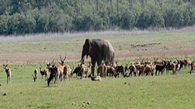 India News | U'khand Govt Sacks Corbett Chief, 2 IFS Officers over Illegal Construction