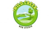 Business News | Wild Creek Web Studio Revolutionizes the Digital Turf of Business with Change-impacting Solutions