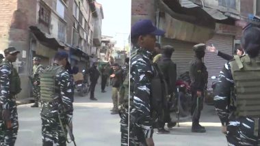 Jammu and Kashmir: One CRPF Jawan Killed, Another Injured in Srinagar Terror Attack