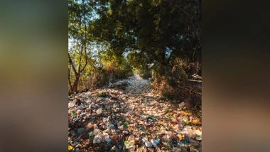 Science News | Technique to Turn Plastic Waste Trash into Carbon Dioxide Sorbent Discovered by Scientists