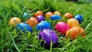 Easter 2022 Egg Hunt Ideas To Make the Easter Sunday Super Fun and Special for Kids and Adults!