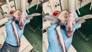 Baby Dragon Spotted! Russian Fisherman Finds Bizarre Sea Creature in the Norwegian Sea, Picture Goes Viral