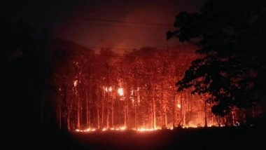 World News | Nepal Deploys Helicopter to Control Forest Fire on Outskirts of Kathmandu