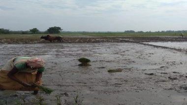 India News | Assam Prepares to Tackle Floods as Early Rain Hits State
