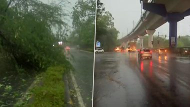 Delhi Rains: Heavy Rainfall, Thunderstorms Lash Parts of National Capital; Trees Uprooted, Flight Operations Hit