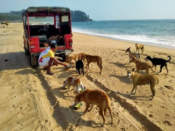 Supreme Court Lifts Stay on Delhi HC Order on Guidelines Relating to Feeding of Stray Dogs