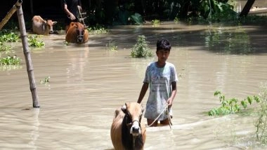 India News | Assam Floods: Around 40 Highlands Constructed for Providing Shelter to Animals