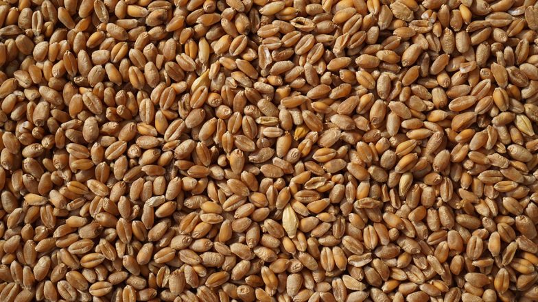 Wheat Prices Hit Record High After India Restricts Exports