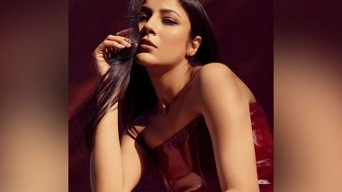 Entertainment News | Shehnaaz Gill Grooves to Britney Spears Song 'Work Bitch'