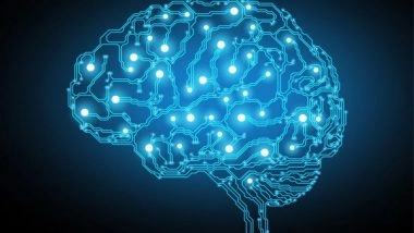 Health News | Research Suggests That Brain Circuit in Thalamus Helps to Hold Information in Mind