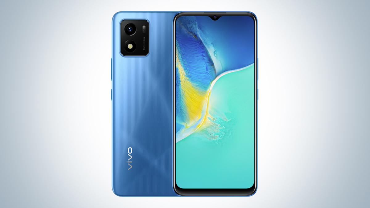 vivo y01 5g flipkart