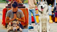 WATCH: Noida Man Takes Pet Dog to Kedarnath Shrine, Lets The Furry Animal Touch Idols; Temple Committee Files FIR