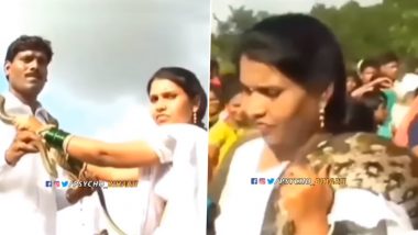 Snake Varmala! Old Video of Bride and Groom Exchanging Snake Garlands in Bizarre Wedding Resurfaces, Internet Amused