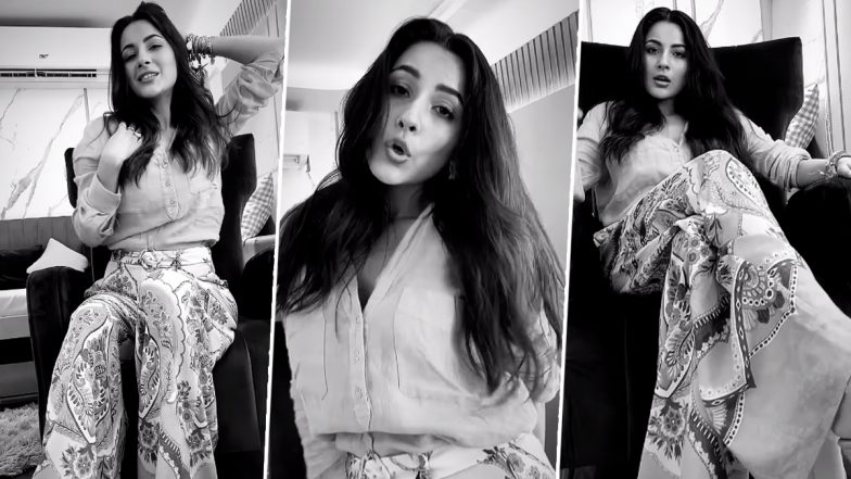 Shehnaaz Gill Is All About That ‘Work’ in This Groovy Reel She Shared on Instagram (Watch Video)