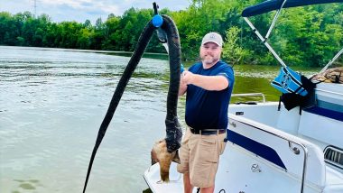 Giant Snake Dies After Choking on Fish? Creepy Photo of Indiana Boaters After Catching Massive Dead Reptile Goes Viral