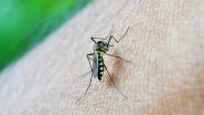 Dengue Outbreak: Uttar Pradesh on Alert Over Rising Number of Dengue Cases