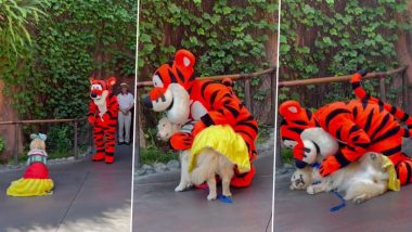 Dog Loves Tigger! Service Dog Meet Its Favourite Cartoon Character And The Viral Video Will Make You Go Aww!