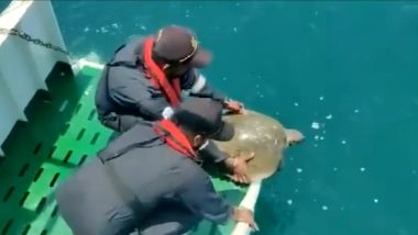 Indian Coast Guard Ship Spots Turtle Being Stuck in Net Mid-Sea off Goa Coast, Sets It Free (Watch Video)