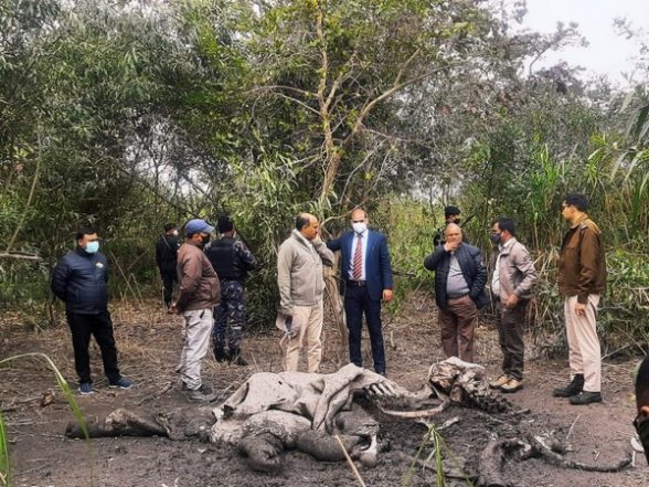 India News | IIT-Madras, Harvard University Researchers Develop Machine-Learning Algorithm to Combat Poaching - Vimarsana News