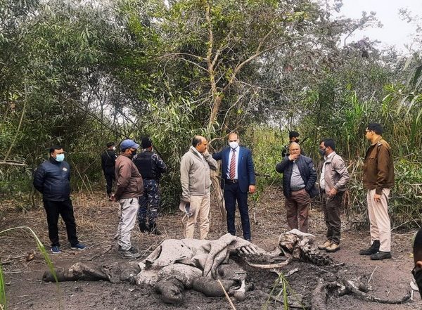 India News | IIT-Madras, Harvard University Researchers Develop Machine-Learning Algorithm to Combat Poaching