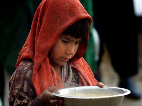 World News | Half of Afghanistan's Population Facing Acute Hunger: WFP - Vimarsana News