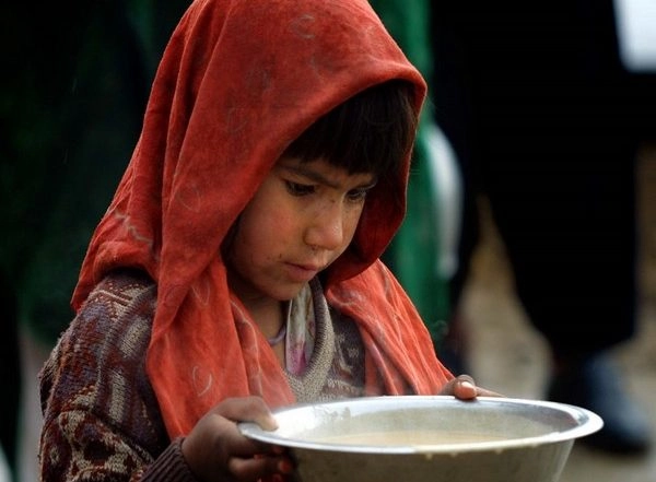 World News | Half of Afghanistan's Population Facing Acute Hunger: WFP