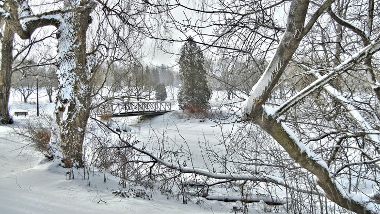 Canada Storms: Eight Dead, Massive Blackouts As Severe Thunderstorms Wreak Havoc in Ontario And Quebec