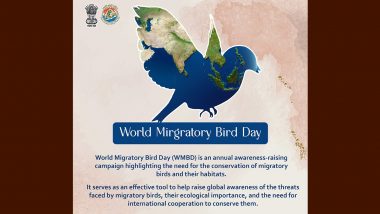 World Migratory Bird Day 2022: Dim the Lights for Migratory Birds Tonight To Reduce Impact of Light Pollution