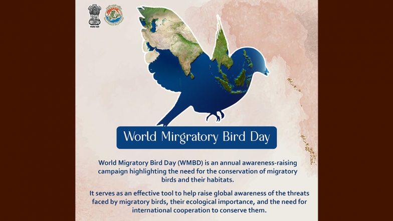 World Migratory Bird Day 2022: Dim the Lights for Migratory Birds Tonight To Reduce Impact of Light Pollution